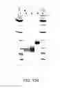 Fig. 456 - FACTOR VIII: REMODELING AND GLYCOCONJUGATION OF FACTOR VIII