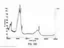 Fig. 461 - FACTOR VIII: REMODELING AND GLYCOCONJUGATION OF FACTOR VIII