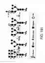 Fig. 486 - FACTOR VIII: REMODELING AND GLYCOCONJUGATION OF FACTOR VIII