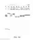 Fig. 498 - FACTOR VIII: REMODELING AND GLYCOCONJUGATION OF FACTOR VIII