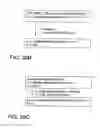 Fig. 62 - FACTOR VIII: REMODELING AND GLYCOCONJUGATION OF FACTOR VIII
