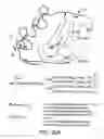Fig. 96 - FACTOR VIII: REMODELING AND GLYCOCONJUGATION OF FACTOR VIII