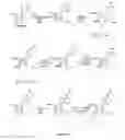 Fig. 03 - Antisense oligonucleotides with improved pharmacokinetic properties