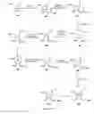 Fig. 04 - Antisense oligonucleotides with improved pharmacokinetic properties