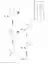 Fig. 06 - Antisense oligonucleotides with improved pharmacokinetic properties