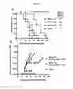 Fig. 21 - Dosages of immunoconjugates of antibodies and SN-38 for improved efficacy and decreased toxicity
