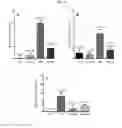 Fig. 23 - Dosages of immunoconjugates of antibodies and SN-38 for improved efficacy and decreased toxicity
