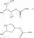 Fig. 16 - NEW BINDER-DRUG CONJUGATES (ADCS) AND USE THEREOF