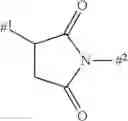 Fig. 258 - NEW BINDER-DRUG CONJUGATES (ADCS) AND USE THEREOF
