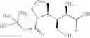 Fig. 431 - NEW BINDER-DRUG CONJUGATES (ADCS) AND USE THEREOF