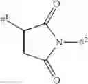 Fig. 846 - NEW BINDER-DRUG CONJUGATES (ADCS) AND USE THEREOF