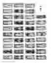 Fig. 07 - Imaging brown adipose tissue with curcumin derivatives