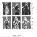 Fig. 08 - Imaging brown adipose tissue with curcumin derivatives
