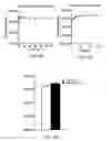 Fig. 17 - Imaging brown adipose tissue with curcumin derivatives