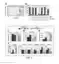 Fig. 03 - COMPOSITIONS AND METHODS FOR MODULATING MITOCHONDRIAL PYRUVATE CARRIER ACTIVITY