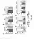 Fig. 10 - COMPOSITIONS AND METHODS FOR MODULATING MITOCHONDRIAL PYRUVATE CARRIER ACTIVITY