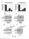 Fig. 12 - COMPOSITIONS AND METHODS FOR MODULATING MITOCHONDRIAL PYRUVATE CARRIER ACTIVITY