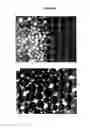 Fig. 02 - Imageable polymers