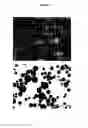Fig. 04 - Imageable polymers