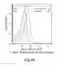 Fig. 10 - MAGNETIC NANOPARTICLE AND METHOD FOR IMAGING T CELLS