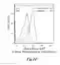 Fig. 11 - MAGNETIC NANOPARTICLE AND METHOD FOR IMAGING T CELLS