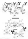 Fig. 07 - METHODS OF IDENTIFYING SURROGATE IMAGING AGENTS FOR ALPHA EMITTER RADIOPHARMACEUTICALS AND THEIR USE IN TREATMENT OF DISEASE
