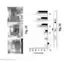 Fig. 04 - Hemostatic compositions and therapeutic regimens