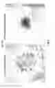 Fig. 15 - Hemostatic compositions and therapeutic regimens