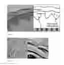 Fig. 03 - Transparent hydrogel and method of making the same from functionalized natural polymers