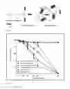 Fig. 06 - Transparent hydrogel and method of making the same from functionalized natural polymers