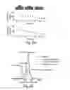 Fig. 04 - MESOSTRUCTURED POLYMER MEMBRANES AND OTHER ARTICLES