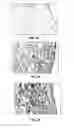 Fig. 12 - NEOCARTILAGE CONSTRUCTS USING UNIVERSAL CELLS