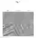 Fig. 02 - Sophisticated Implant Material
