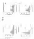 Fig. 07 - Sophisticated Implant Material