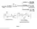 Fig. 02 - Surface modification of medical or veterinary devices
