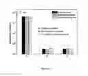Fig. 19 - Surface modification of medical or veterinary devices