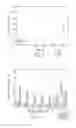 Fig. 04 - Perivascular Delivery System And Method