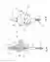 Fig. 06 - Transport carriage for flush solutions