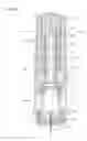 Fig. 43 - Drug delivery device