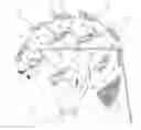 Fig. 01 - Method and apparatus for providing transcranial magnetic stimulation (TMS) to an individual