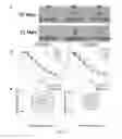 Fig. 06 - Arrays of accelerating structures and rapid imaging for facilitating rapid radiation therapies