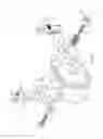 Fig. 06 - Physical Therapy and Range of Motion Device