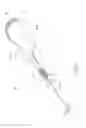 Fig. 02 - Golf putting and chipping training aid