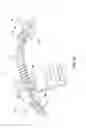 Fig. 04 - Golf putting and chipping training aid