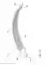 Fig. 15 - Golf putting and chipping training aid