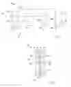Fig. 02 - Crystallization system and process