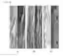Fig. 06 - Separation membrane, hydrogen separation membrane including the separation membrane, and method of manufacturing the separation membrane