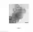 Fig. 11 - Mineralizing biosurfactant used for nucleating silica