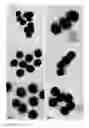 Fig. 07 - Porous silica having high pore volume and methods of making and using same