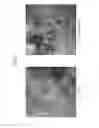 Fig. 03 - Exhaust gas purification catalyst and method for manufacturing same